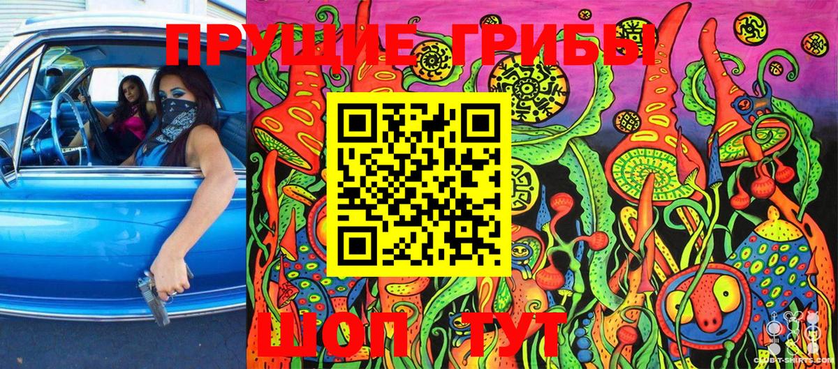 Псилоцибиновые грибы Cubensis Партизанск
